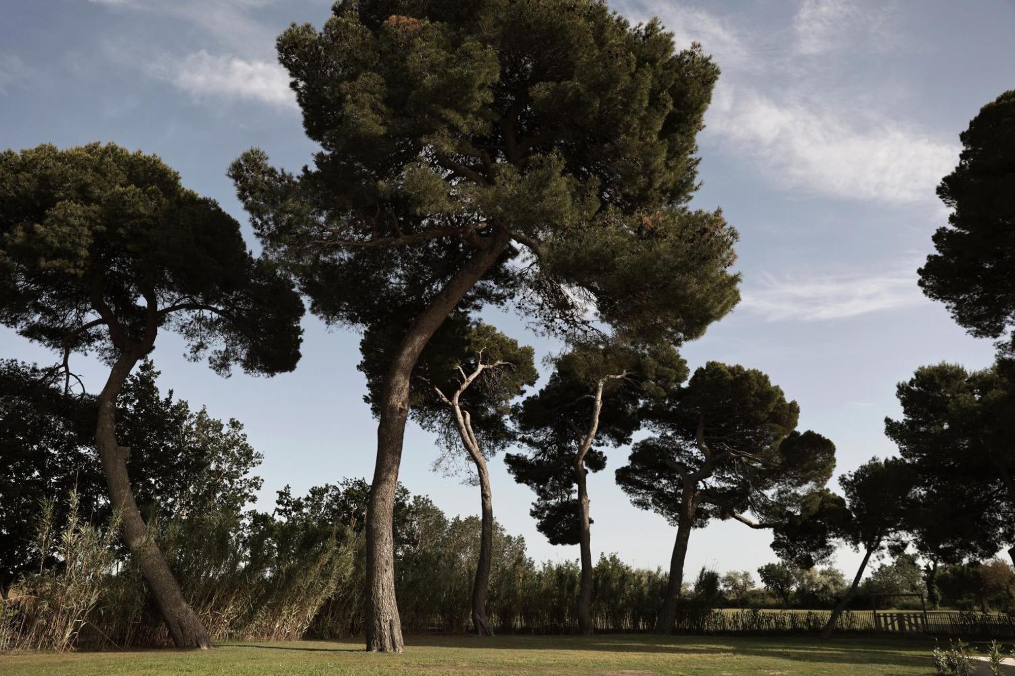 Hotel Le Grand Sauvage - Domaine En Camargue à Les Les Saintes-Maries-de-la-Mer Extérieur photo